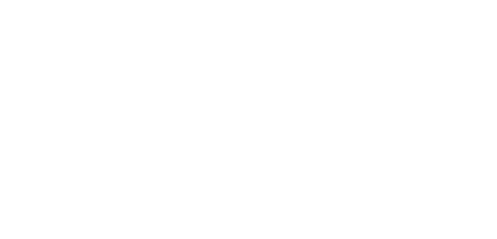 nest niagara